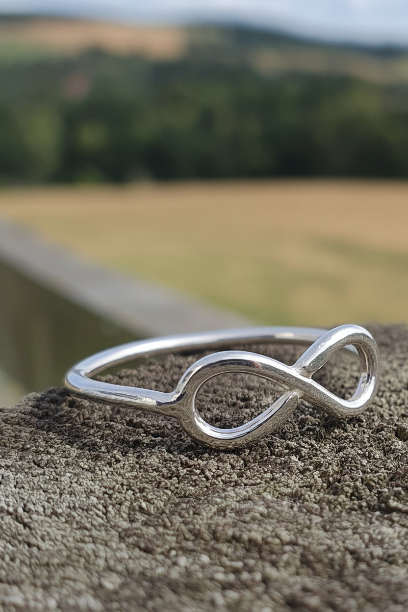 A polished silver infinity ring resting on a textured log surface with a blurred outdoor landscape background.