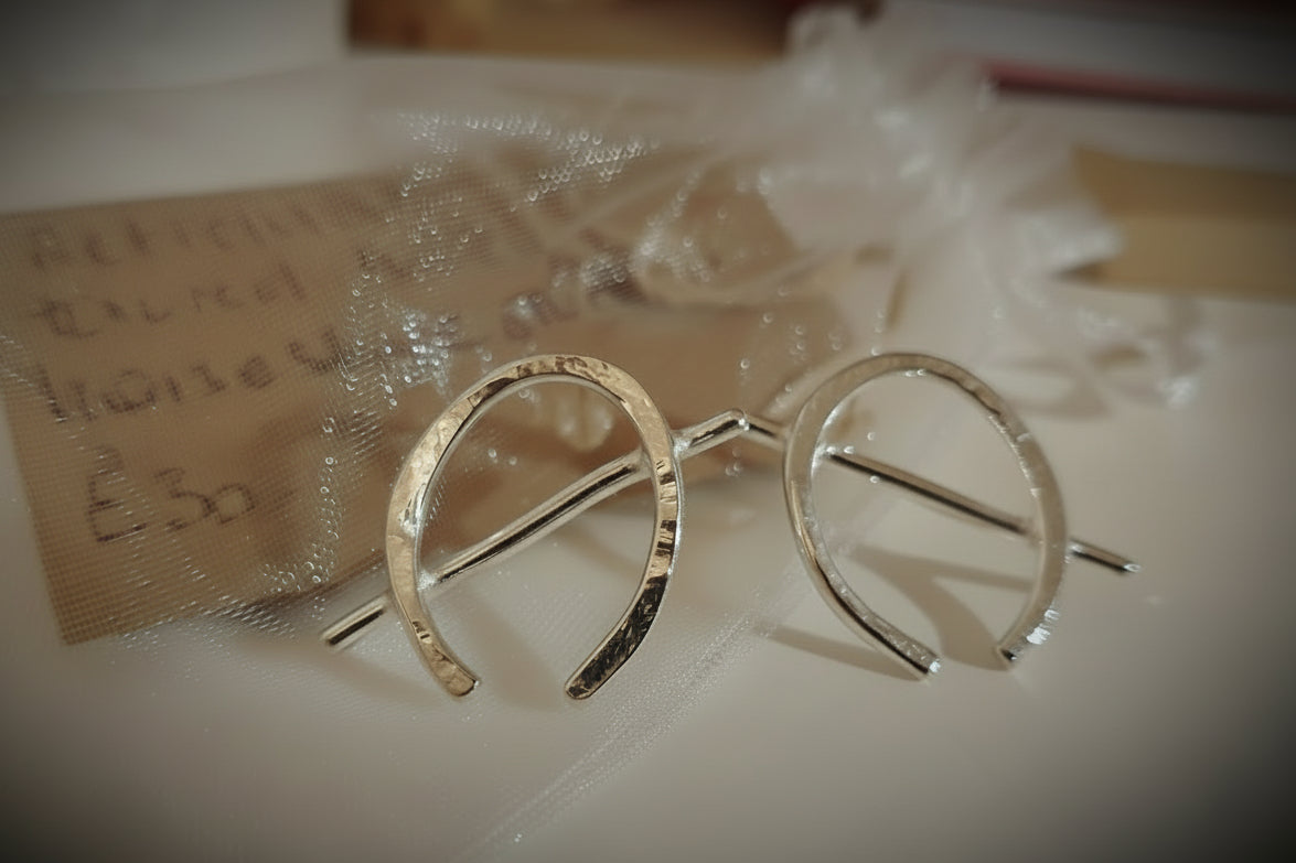 Horseshoe earrings
